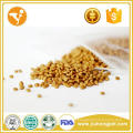 Tout Nature Extruder Pet Food High Quality Cat Food Oem